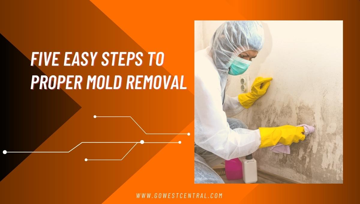 Five Easy Steps To Proper Mold Removal