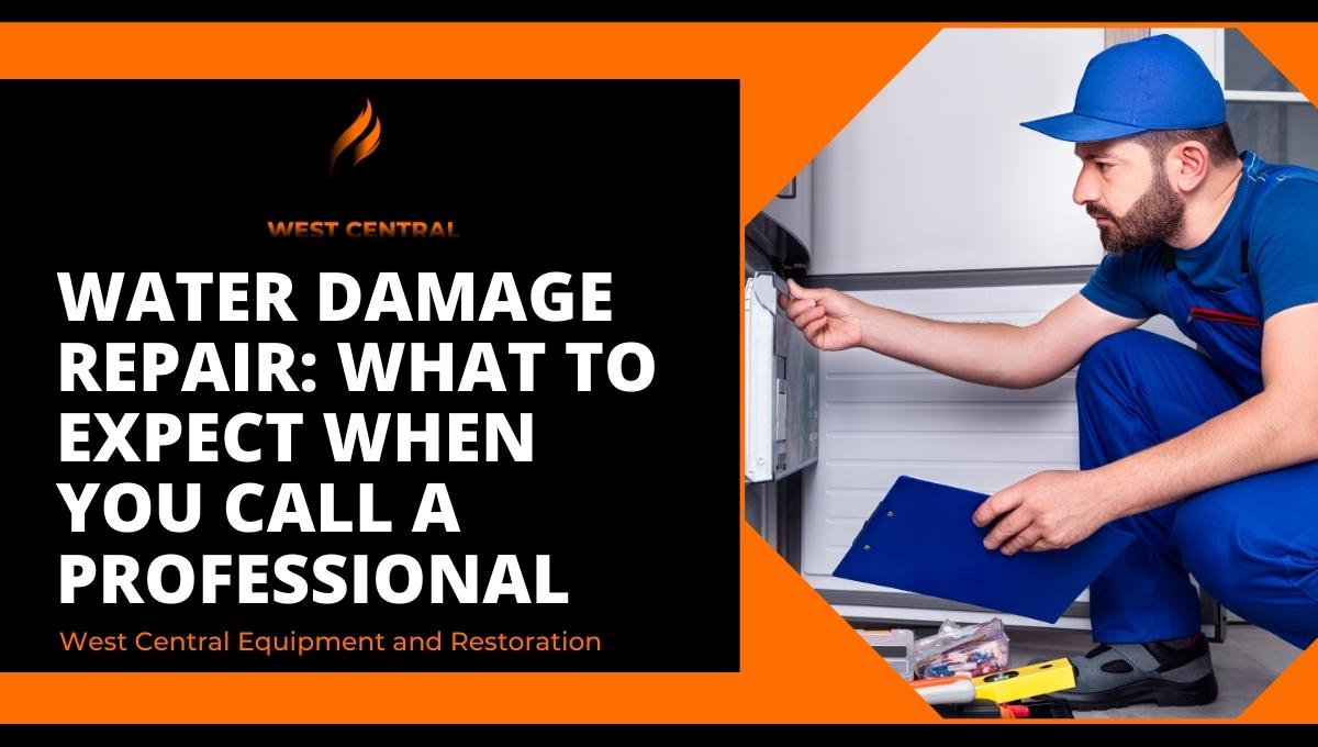 Water Damage Repair What To Expect When You Call A Professional
