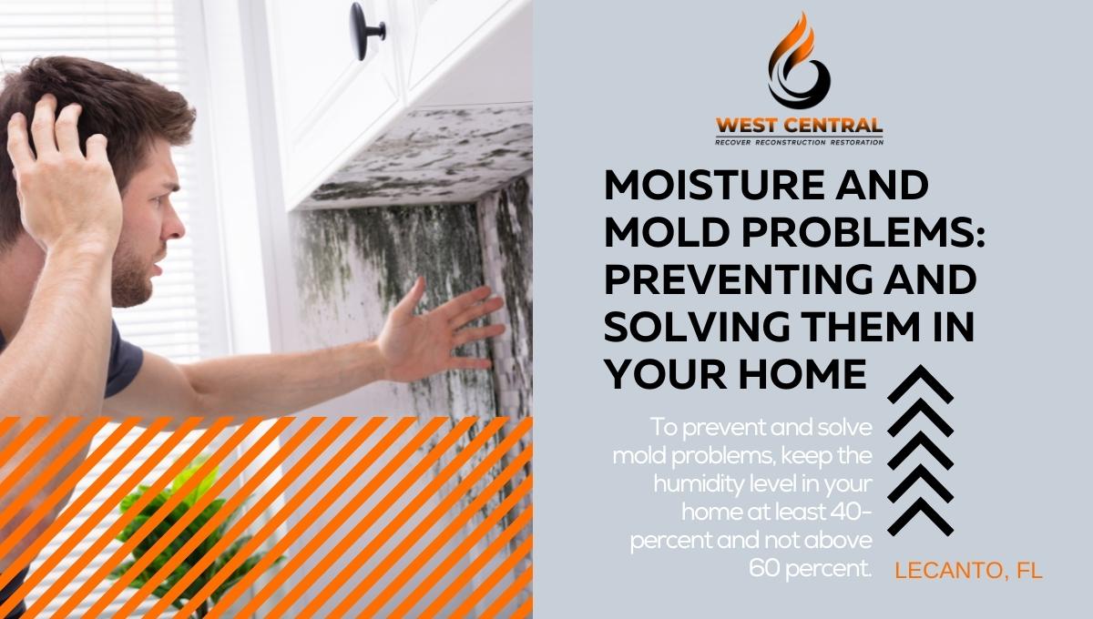 Moisture And Mold Problems Preventing And Solving Them In Your Home