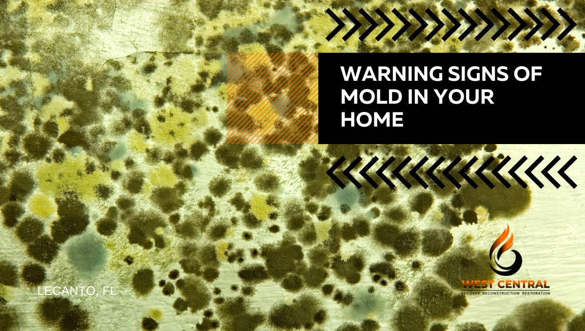 Warning Signs Of Mold In Your Home