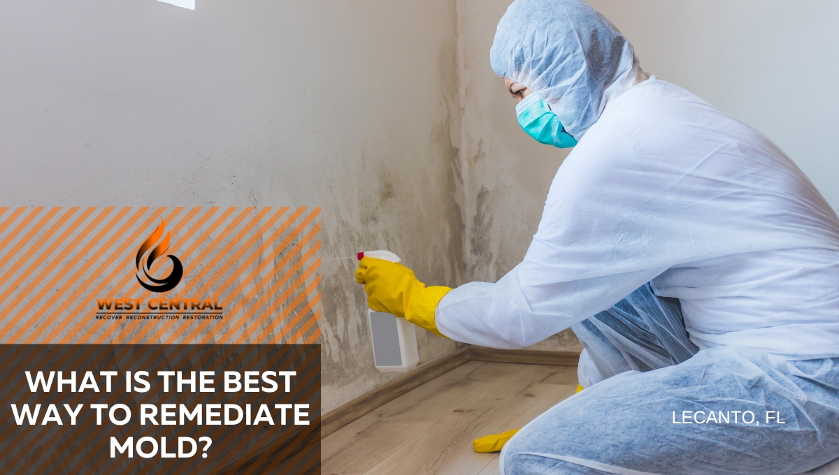 What Is The Best Way To Remediate Mold