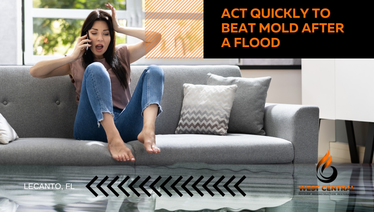 Act Quickly To Beat Mold After A Flood